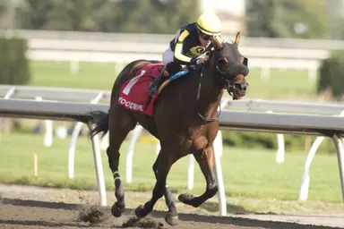Souper Survivor could get challenge as Frost King favorite