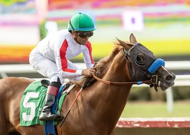 Inshallah to skip Del Mar Futurity; point to American Pharoah Stakes