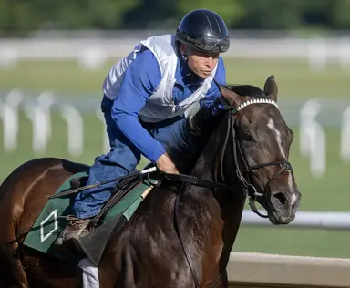 Sovereignty heads loaded, compact field in Stephen Foster
