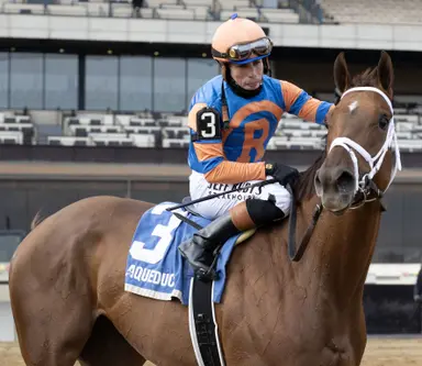 Zany likely to keep Suncoast small