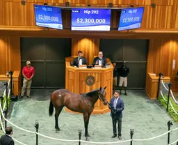 As yearling season kicks into high gear, Fasig-Tipton's Browning keeping it short and sweet