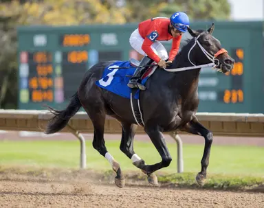Heavily favored D I Wire goes wire to wire in New York Breeders' Futurity