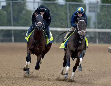 Belmont Stakes: Angel of Empire will be blinkers-on, kind of