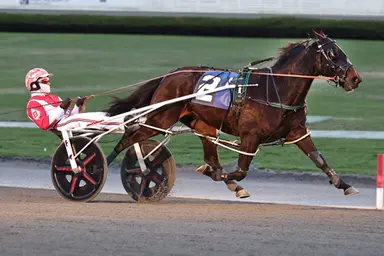 Yonkers:  Louies Girl N romps in McIntyre Series to keep perfect U.S. record intact