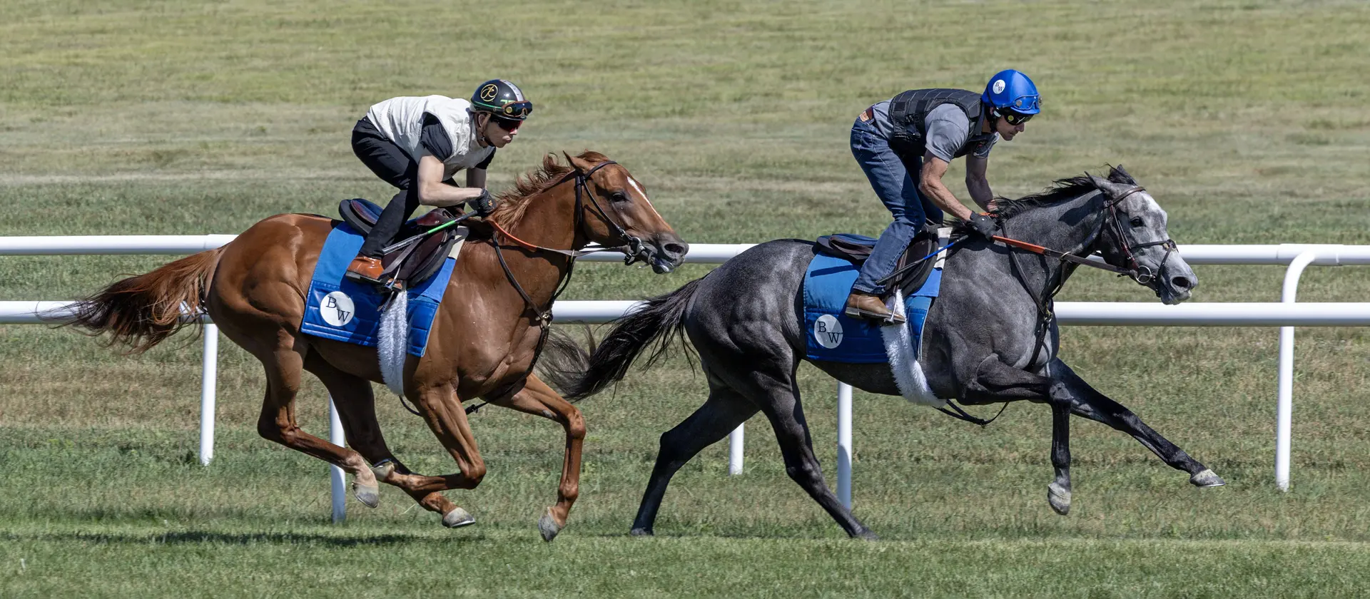 Lion Lake, Ground Support headline split divisions of Glen Cove