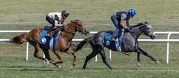 Lion Lake, Ground Support headline split divisions of Glen Cove