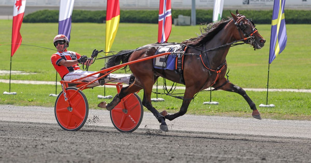 Yonkers: Uncle Rob's track record headlines NYSS finals for trotters
