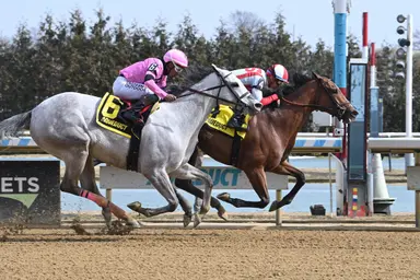Bam's Bliss Kiss, Collect the Data put win streaks on the line in Biogio's Rose