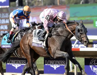 Ashford has three of a kind in Sierra Leone, Fierceness, and Citizen Bull
