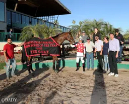 Surprsinglyperfect retired after 101st career race