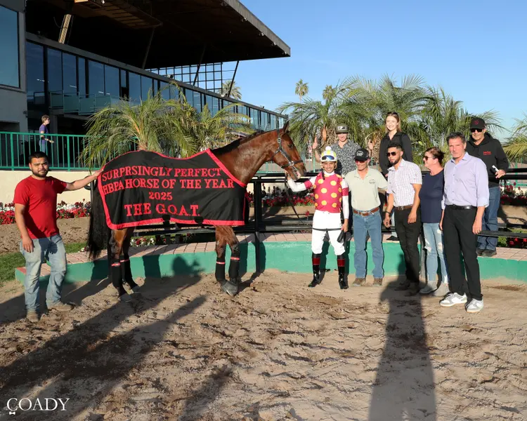 Surprsinglyperfect Retirement - Winner Circle.jpg