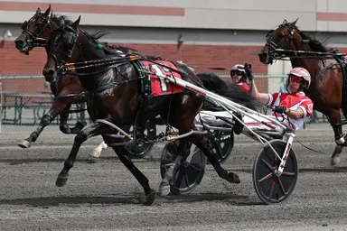 Yonkers:  Fragment leads triple for sire Huntsville in NYSS finals for pacers
