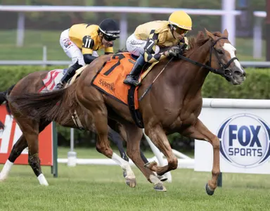 Saratoga overcomes heat, multi-horse spill to mount successful opening day