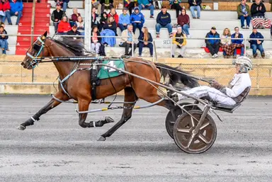 Shenandoah Downs:  Doubles for Paquet Jr., Morgan in Virginia Breeders Fund finals
