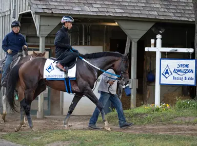 Weekend GamePlan: Picks for Whitney, Saratoga Derby, Yellow Ribbon