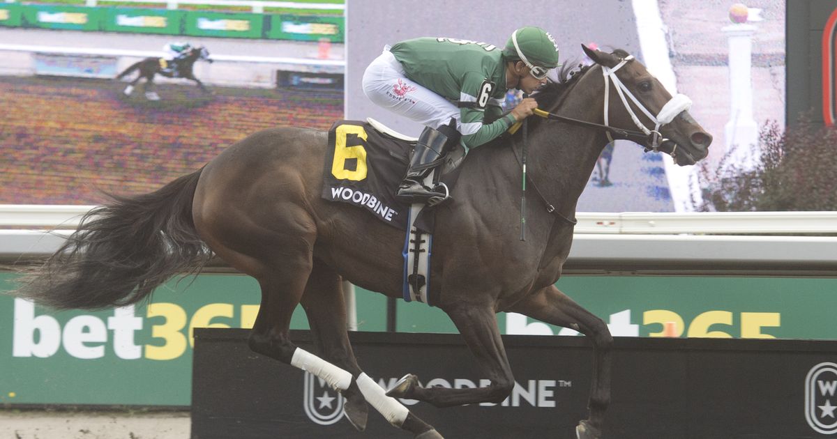 Regan's Flame too good for short field in Seaway