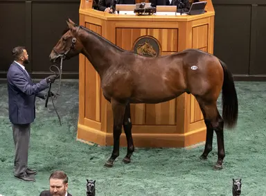 Fasig-Tipton Saratoga: $4.1 million Into Mischief colt tops record-setting sale