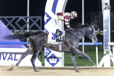 Brotherly Love takes Dubai Road to the Kentucky Derby Stakes; Salloom a late scratch