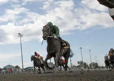 Wenzel tries to conjure old magic from Slew's Tiz Whiz