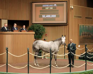 2024 Keeneland November sale finishes with gains across the board