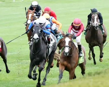 Brad Free's Santa Anita Horses to Watch for week of June 7, 2024