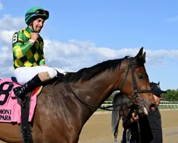 Millionaire Repo Rocks retired at age 8