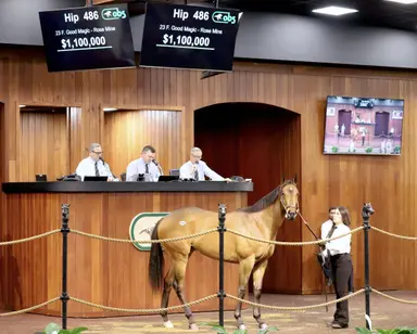 Two seven-figure lots top second OBS March session