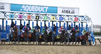 DRF's Horse Racing Playbook for Thursday, November 9, 2023