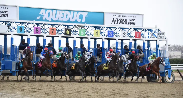 Dirt race start at Aqueduct