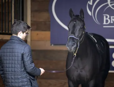 Australia: American graded stakes winner Princess Grace set for Australian Group 1 debut