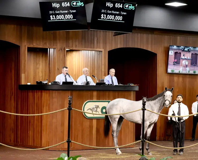 Gun Runer colt sale topper OBS March2501.3.13.25.Penelope Miller (1).jpg
