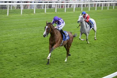 Streaking Minnie Hauk might be vulnerable in Prix de l'Arc de Triomphe