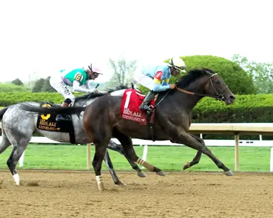 Stars and Stripes powers past stablemate Batten Down for Ben Ali victory