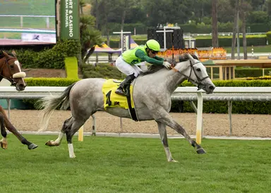 Hey Jessie ends stakes victory drought with Santa Barbara