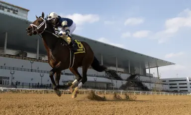 Back against easier company, Arctic Beast cruises to Damon Runyon win