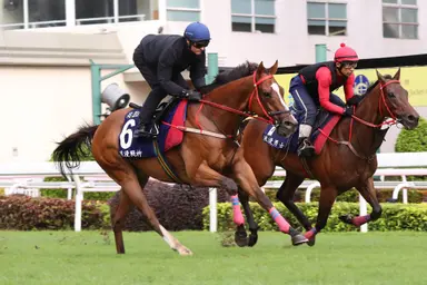 Purton realistic but hopeful ahead of Romantic Thor’s Group 1 debut