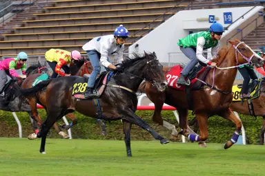 Francis Lui is pleased as Golden Sixty trials at Sha Tin