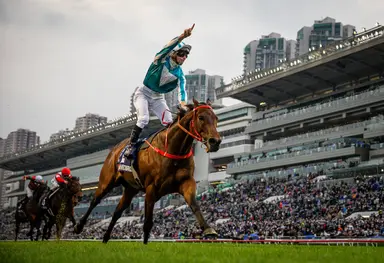 Romantic Warrior seeks unprecedented three-peat in Hong Kong Cup