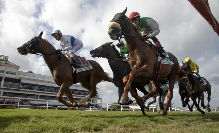 Anglophile.California Frolic.Gulfstream.Racing scenic.1-27-24.BL_.jpg