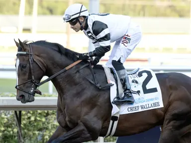 Kentucky Derby: Chief Wallabee works, likely to add blinkers
