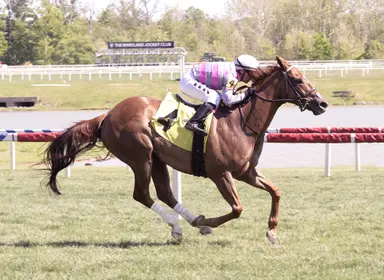 Merryman, Prat seek repeat in Jim McKay Turf Sprint