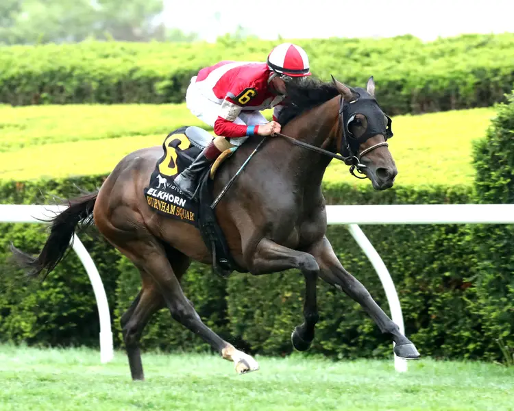 BURNHAM SQUARE - The VisitLEX Elkhorn G2 - 04-18-26 - R10 - Keeneland Race Course - Finish 02  - Renee Torbit.jpg