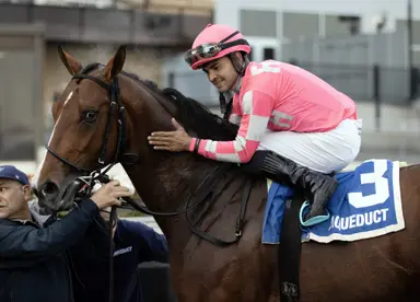 Dornoch makes Puca 3 for 3 as stakes-producing broodmare