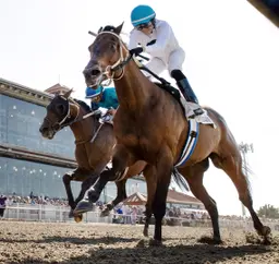 Touchuponastar notches second consecutive New Orleans Classic