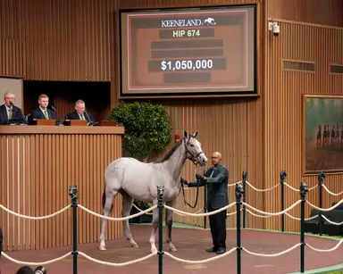 Trio by Charlatan, Gun Runner, Tapit spark strong start to Book 2