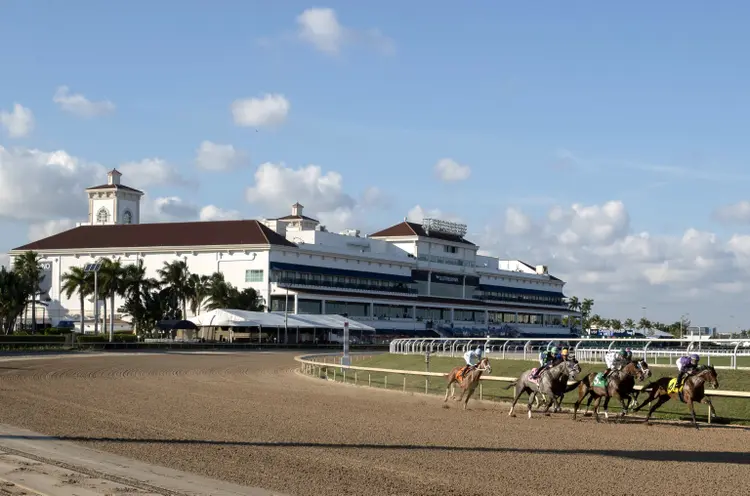 Gulfstream Park scenic Jan 30 2025
