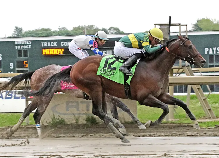 Retribution wins PTHA President's Sprint at PRX Aug 18 2025