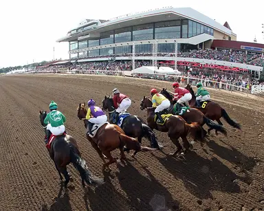 DRF's Horse Racing Playbook for Wednesday, August 9, 2023