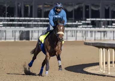 Kentucky Derby: Skinner scratched due to temperature