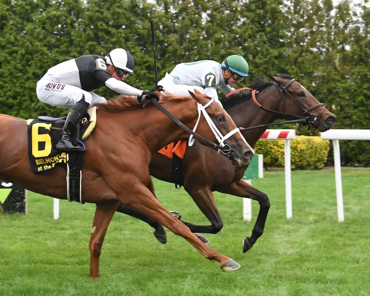 Moonage Daydream (inside) beats Whatlovelookslike in John Hettinger at AQU Sept 26 2024
